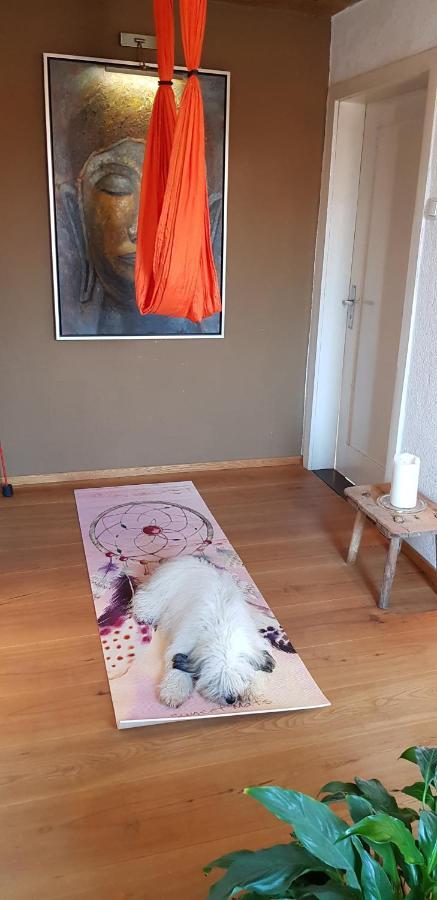 Kleines Haeuschen Im Gruenen Villa Monheim  Ngoại thất bức ảnh